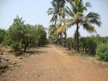 Plot Area in  Land at Mangaon – for Sale