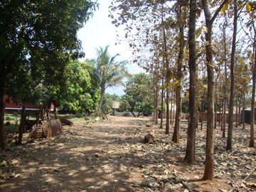 Plot Area in  Land at Mangaon – for Sale