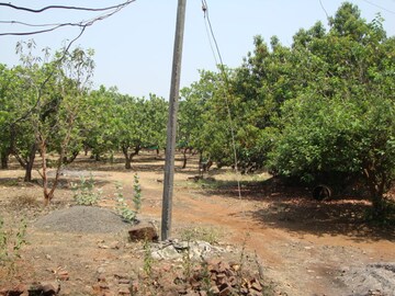 Plot Area in  Land at Mangaon – for Sale