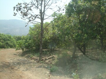 Plot Area in  Land at Mangaon – for Sale