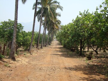 Plot Area in  Land at Mangaon – for Sale