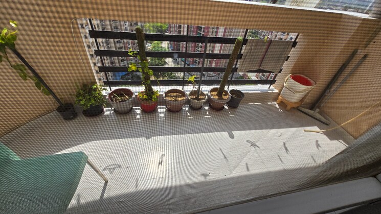 Gym, eldeco-green-meadows 3 Bedroom 1840 Sq.Ft. Apartment In Pi Greater Noida Greater Noida 8495013