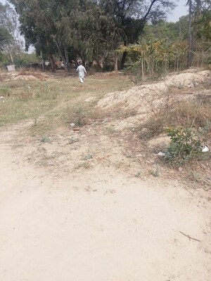 Plot Area in  Plot at Nfl Area – for Sale