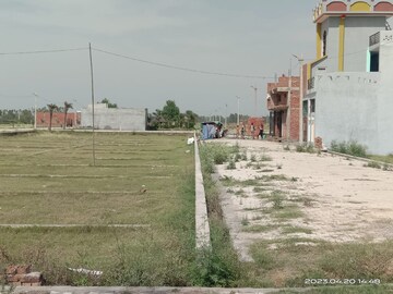 Plot Area in  Plot at Amangal – for Sale