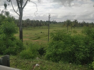  Plot For Sale in Palace Guttahalli