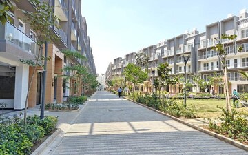 3 BHK Builder Floor For Rent in Smart World Orchard, Sector 61