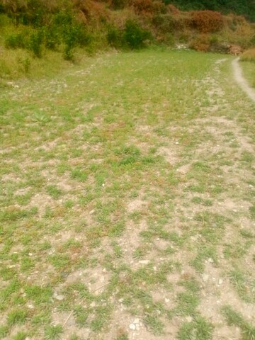  Land – Exterior View View at Bhimtal - for Sale