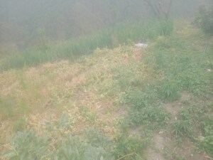  Land For Sale in Mukteshwar