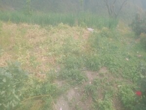 Plot Area in  Land at Mukteshwar – for Sale