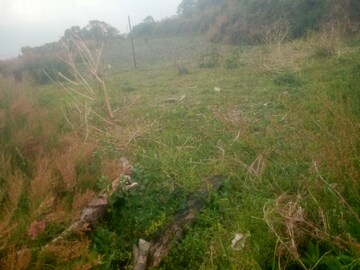  Plot – Garden View at Bhowali - for Sale