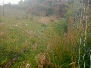  Plot – Garden View at Bhowali - for Sale