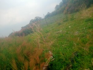  Plot For Sale in Bhowali