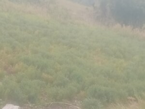  Land – Exterior View View at Dhanachuli - for Sale