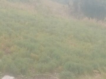  Land – Exterior View View at Dhanachuli - for Sale