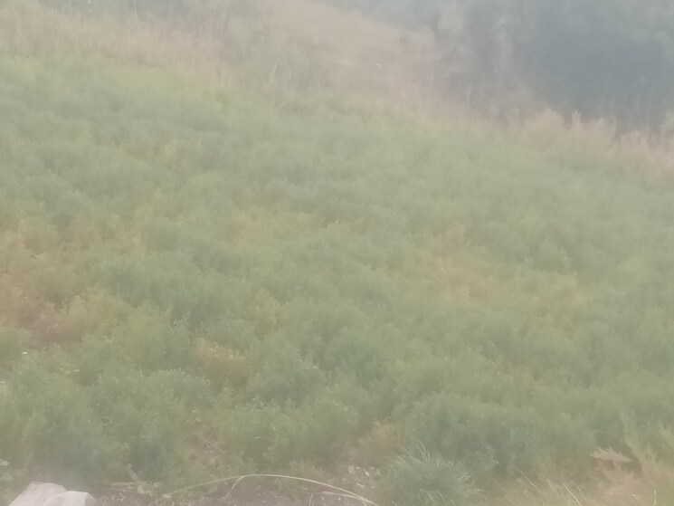 Exterior View, dhanachuli Commercial Land 8400 Sq.Ft. In Dhanachuli Nainital 8496111