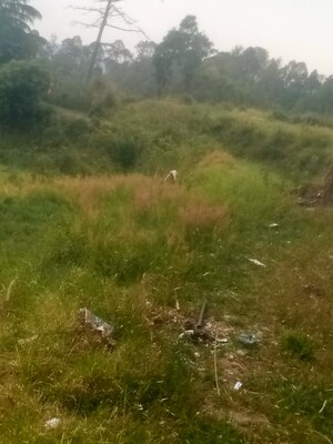  Land For Sale in Dhanachuli