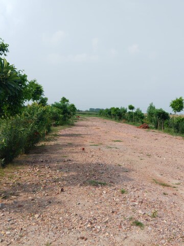 Plot Area in  Plot at Nagalia – for Sale
