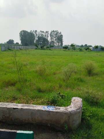 Plot Area in  Plot at Nagalia – for Sale
