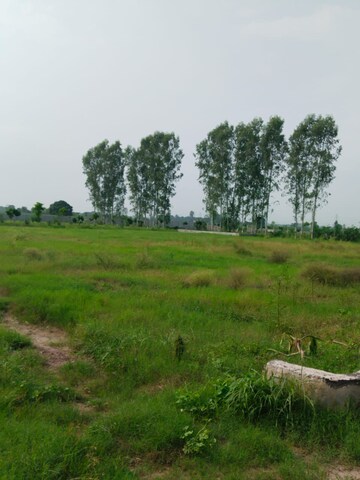 Plot Area in  Plot at Nagalia – for Sale