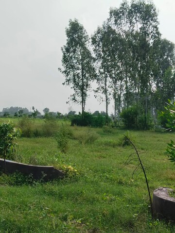Plot Area in  Plot at Nagalia – for Sale