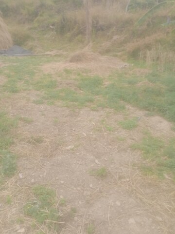  Land – Garden View at Ramgarh Road - for Sale