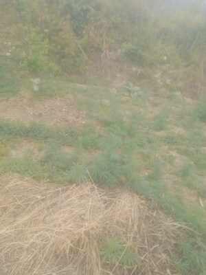  Land – Garden View at Ramgarh Road - for Sale