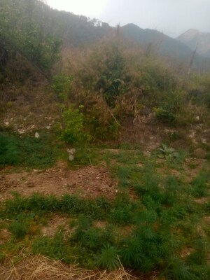 Plot Area in  Land at Ramgarh Road – for Sale