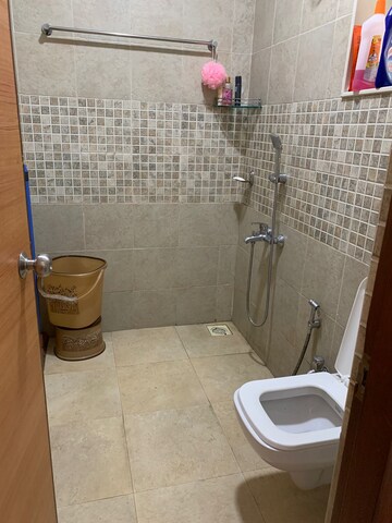 2 BHK Apartment For Rent in Amanora Sterling Towers, Hadapsar