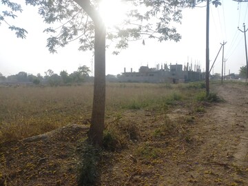 Plot Area in  Land at Sultanpur – for Sale