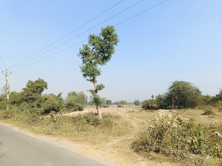 undefined, wazirganj  1000 Sq.Yd. Plot In Wazirganj Lucknow 8497521