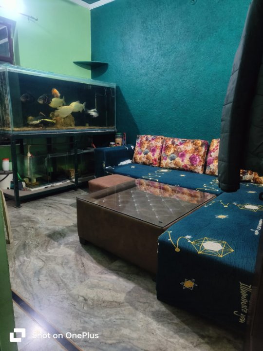 4 BHK + Extra Room Independent House For Sale in Sanjay Nagar