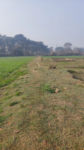 Plot Area in  Plot at Joka – for Sale