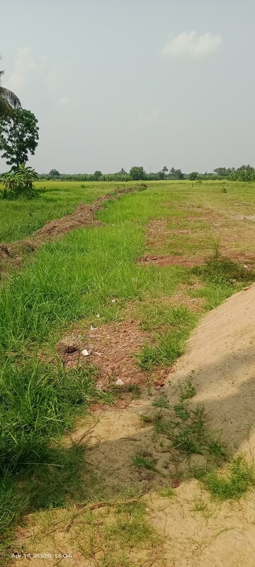  Land For Sale in AmtalA-Baruipur Road
