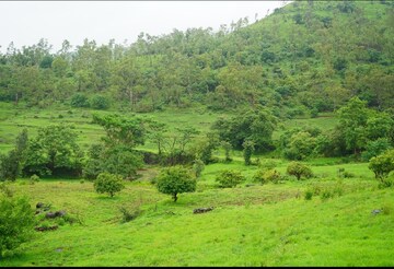  Plot – Garden View at Velhe - for Sale