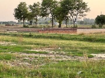 Plot Area in  Plot at Aura Bellina Aerocity, Dankaur – for Sale
