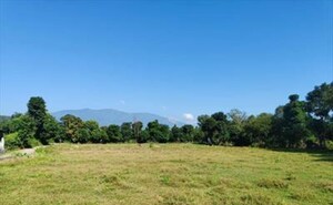  Plot For Sale in Salan Gaon