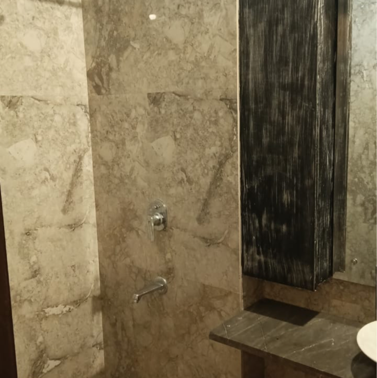 Attached Bathroom, safdarjung development area 4 Bedroom 3000 Sq.Ft. Villa In Safdarjung Development Area Delhi 8502185