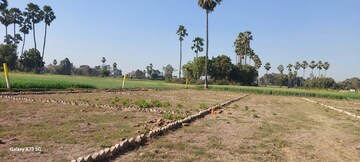 Plot Area in  Plot at Patna University Campus – for Sale