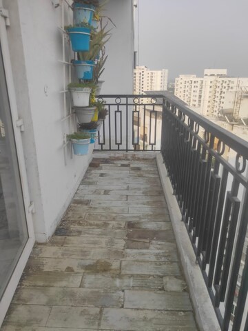 5 BHK Penthouse – Exterior View View at Ansals Celebrity Greens, Sushant Golf City - for Rent