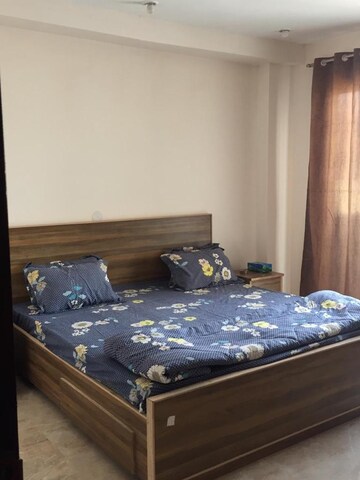 1 BHK Builder Floor For Rent in Sector 27