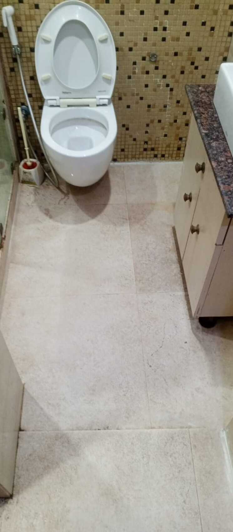 Attached Bathroom, shapoorji-pallonji-joyville-gurgaon 3 Bedroom 1692 Sq.Ft. Apartment In Sector 102 Gurgaon 8502790