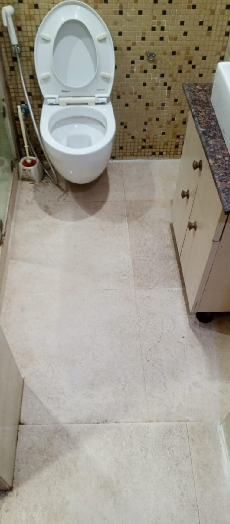 Attached Bathroom, shapoorji-pallonji-joyville-gurgaon 3 Bedroom 1692 Sq.Ft. Apartment In Sector 102 Gurgaon 8502790