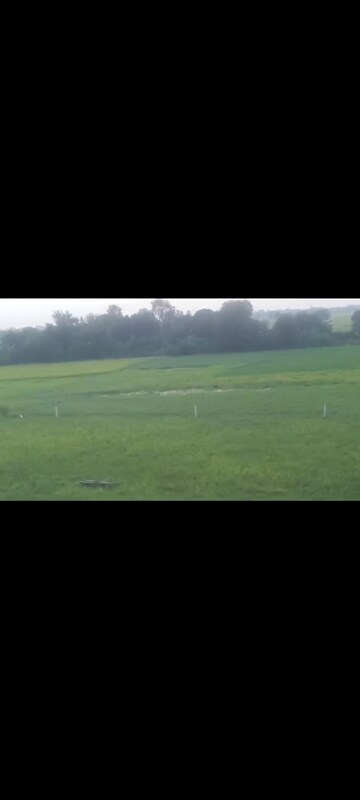  Land For Sale in Wazirganj