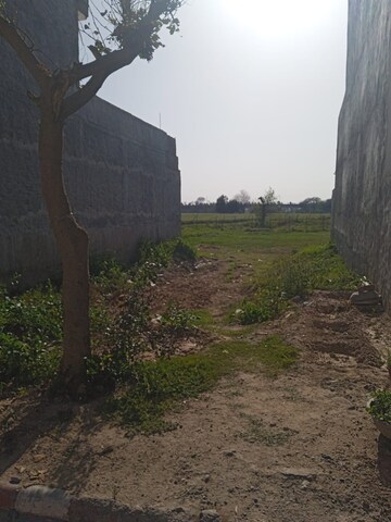   Plot at Sector 118 – for Sale