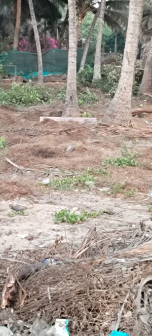  Plot For Sale in Gorai Sumit, Borivali West