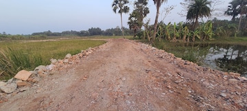 Plot Area in  Plot at Joka – for Sale