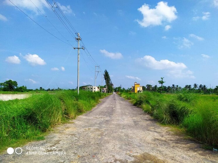 undefined, amtala  2160 Sq.Ft. Plot In Amtala Kolkata 8504177