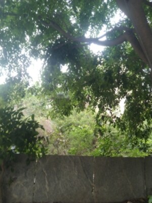  Plot For Sale in SK Iris, Babusa Palya