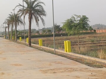Plot Area in  Plot at Sector 150 – for Sale