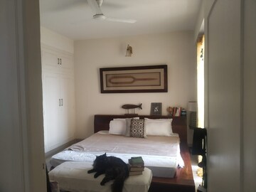 3 BHK Apartment For Sale in Mahima Panorama, Jagatpura